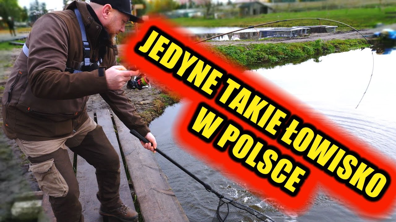 SPINNING NA ULTRA LIGHT - Łowisko Kolorowe Pstrągi Klonówiec . Trout area i NIETYPOWE RYBY!!