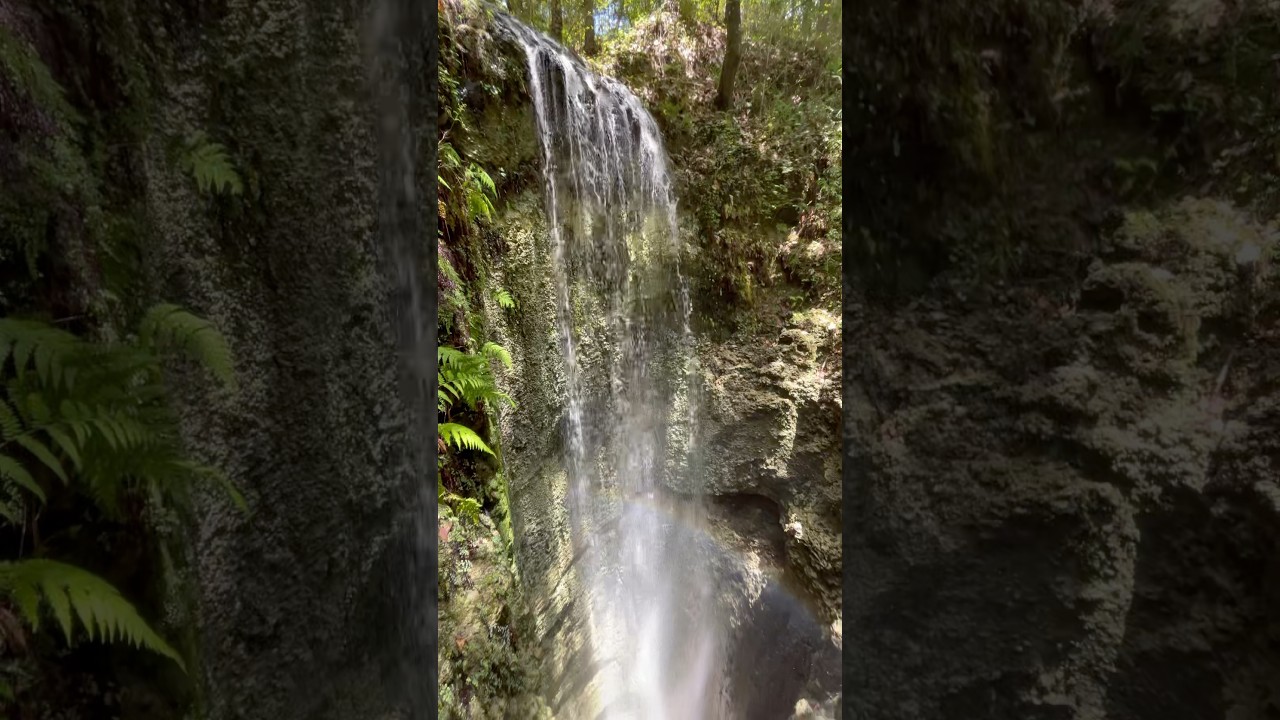 75ft waterfall in Florida? Falling Waters State Park