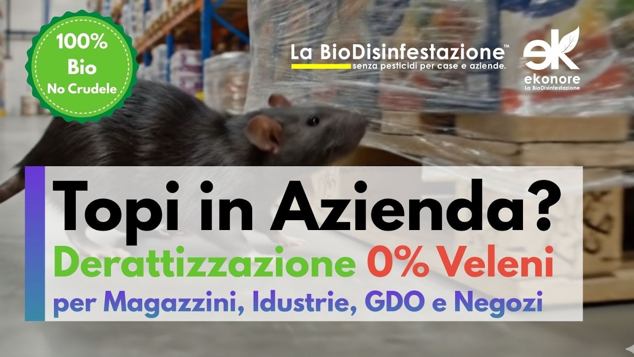 Derattizzazione Aziende HACCP: Metodo Bio Senza Veleni (–87% Rischio Contaminazione) | Certificata