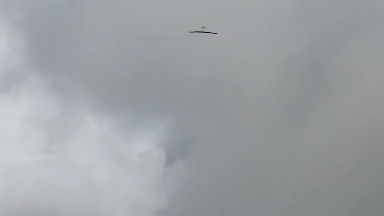 Composite RC Gliders TT Echoes - FISS 2022