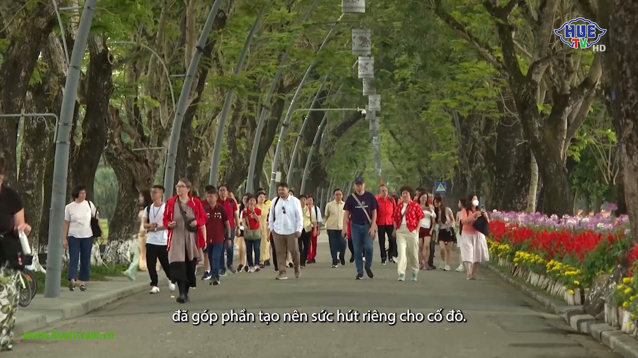 Hue's colours (28/02/2026)