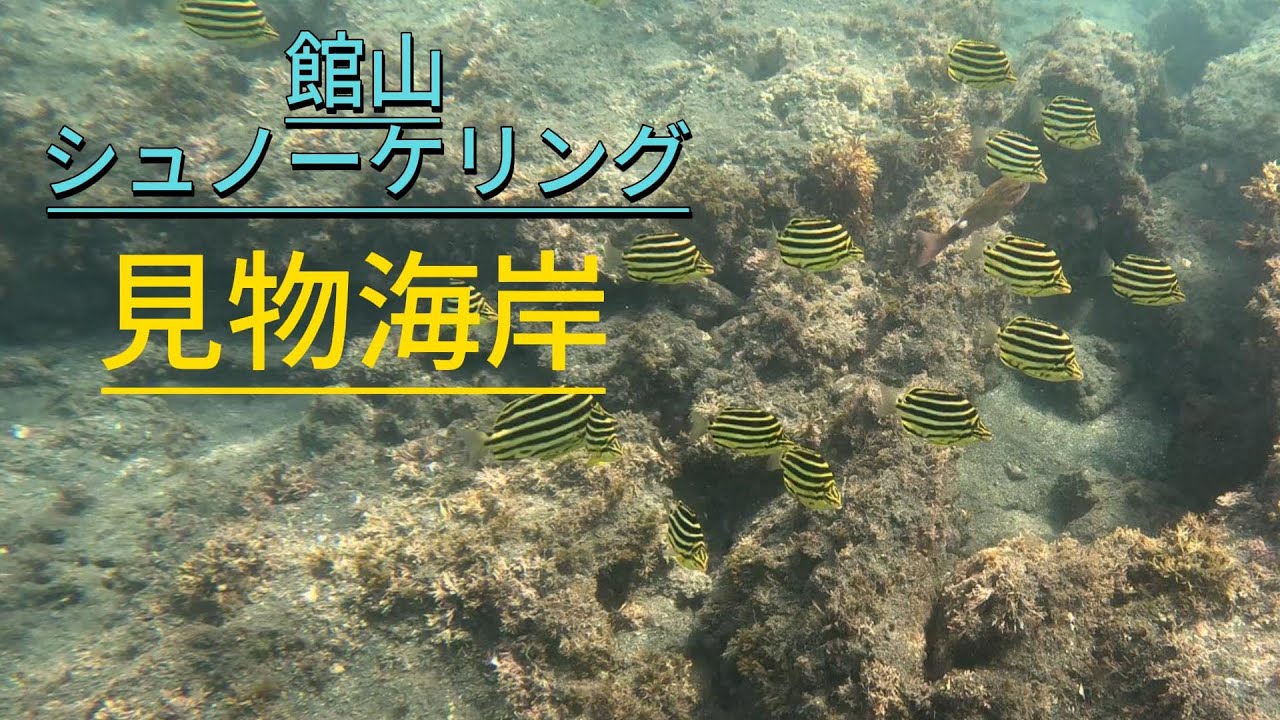 見物海岸でシュノーケリング | 見物海岸の駐車場情報 | 千葉県館山市 | 8月