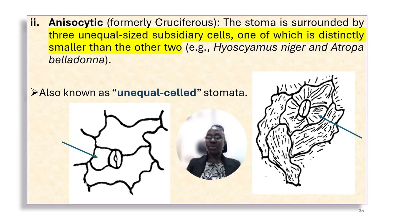 Plant tissues of diagnostic importance   PART III