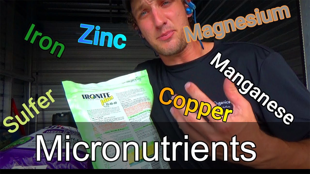 What is the best Fertilizer to you use?!?! Part 2