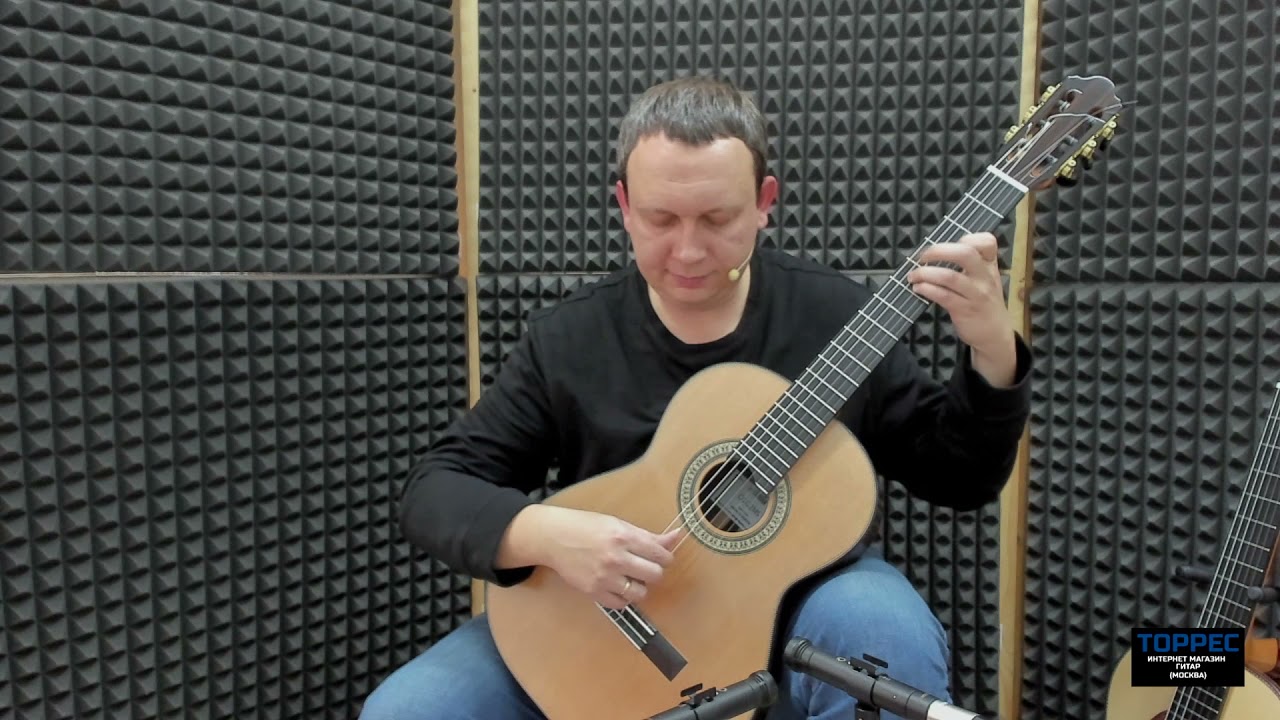 Кедр или ель? Тест гитар А. Пашенцева. Видеообзор Ю. Алешников