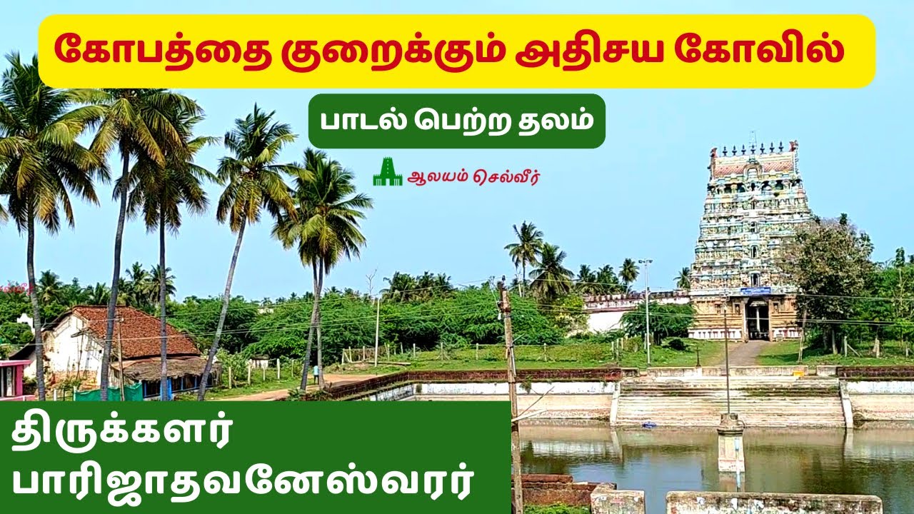 கோபத்தை குறைக்கும் கோவில் திருக்களர் பாரிஜாதவனேஸ்வரர் கோவில் Thirukalar Sivan Temple