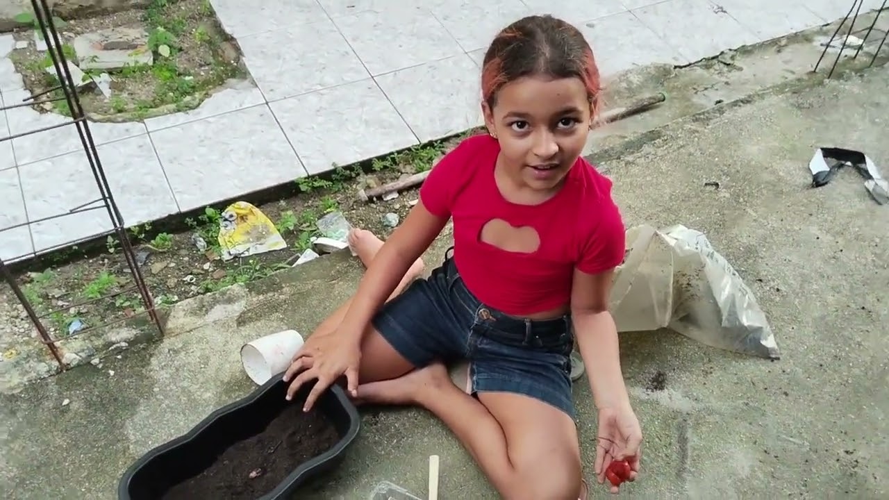 Plantando tomate #youtube #viral #explore #fyp #horta #plantas #viralvideo #diaadia #foryou #video 