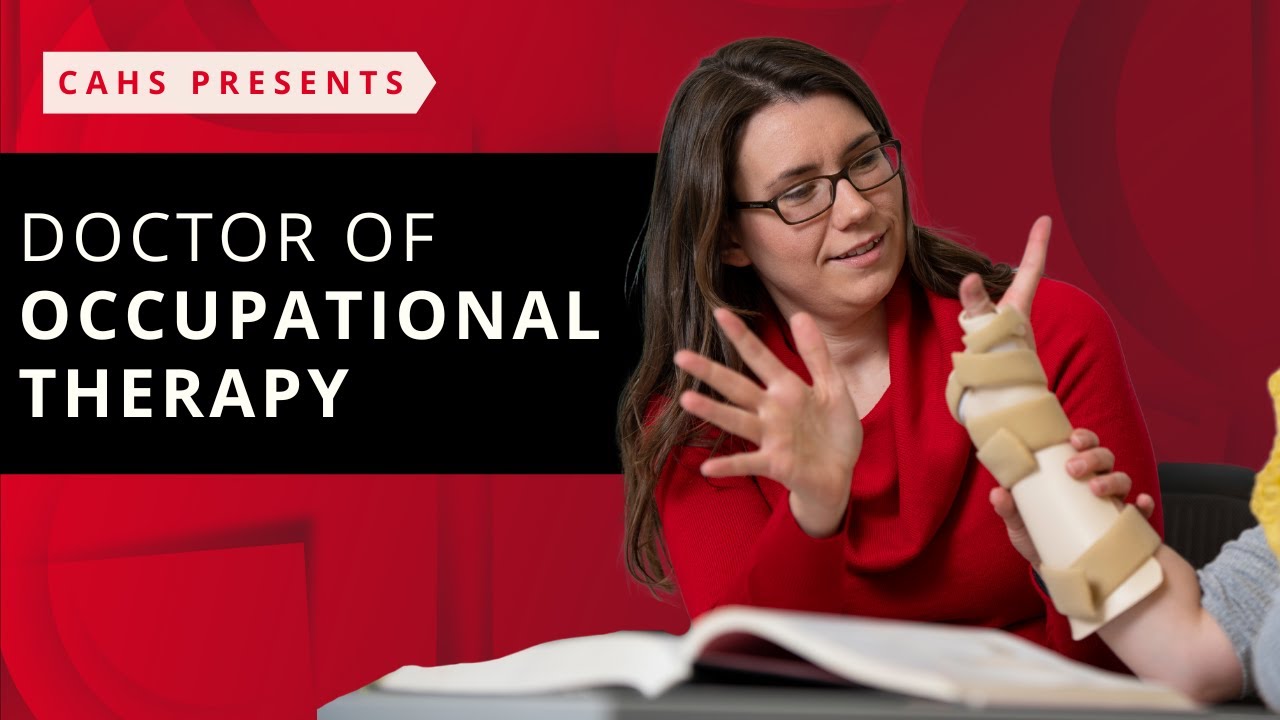 Doctor of Occupational Therapy | University of Cincinnati