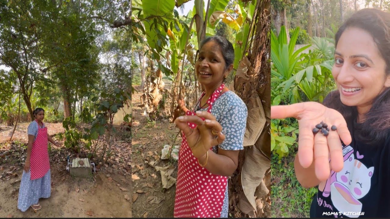 വീട്ടിൽ അപ്രതീക്ഷിതമായി കുടിവെള്ളം മുട്ടിയതിൻ്റെ കാരണം അന്വേഷിച്ച് ചെന്നപ്പോൾ കണ്ട കാഴ്ച😯