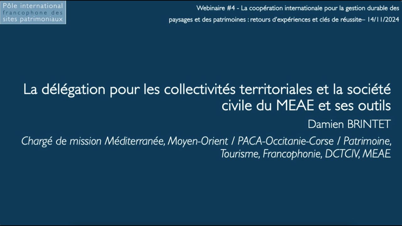 Webinaire international #4 - Présentation de la DCTCIV et de ses outils -Damien BRINTET