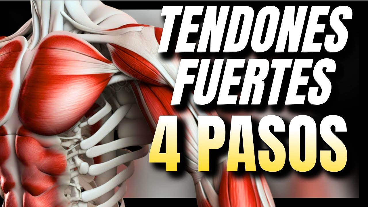 Haz estos 4 EJERCICIOS si quieres TENDONES FUERTES en Antebrazos 🔥