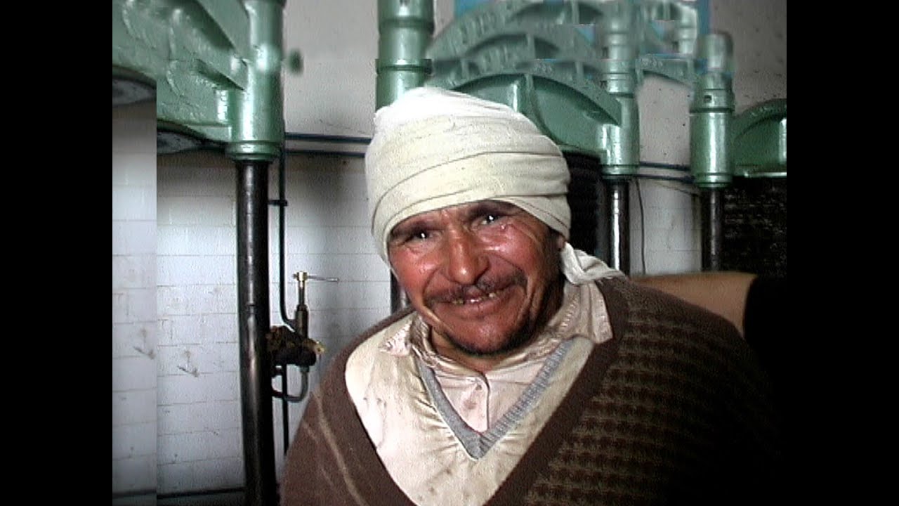 Djerba - Römerdamm - Ölmühle in der Oase Zarzis - Olivenöl Herstellung
