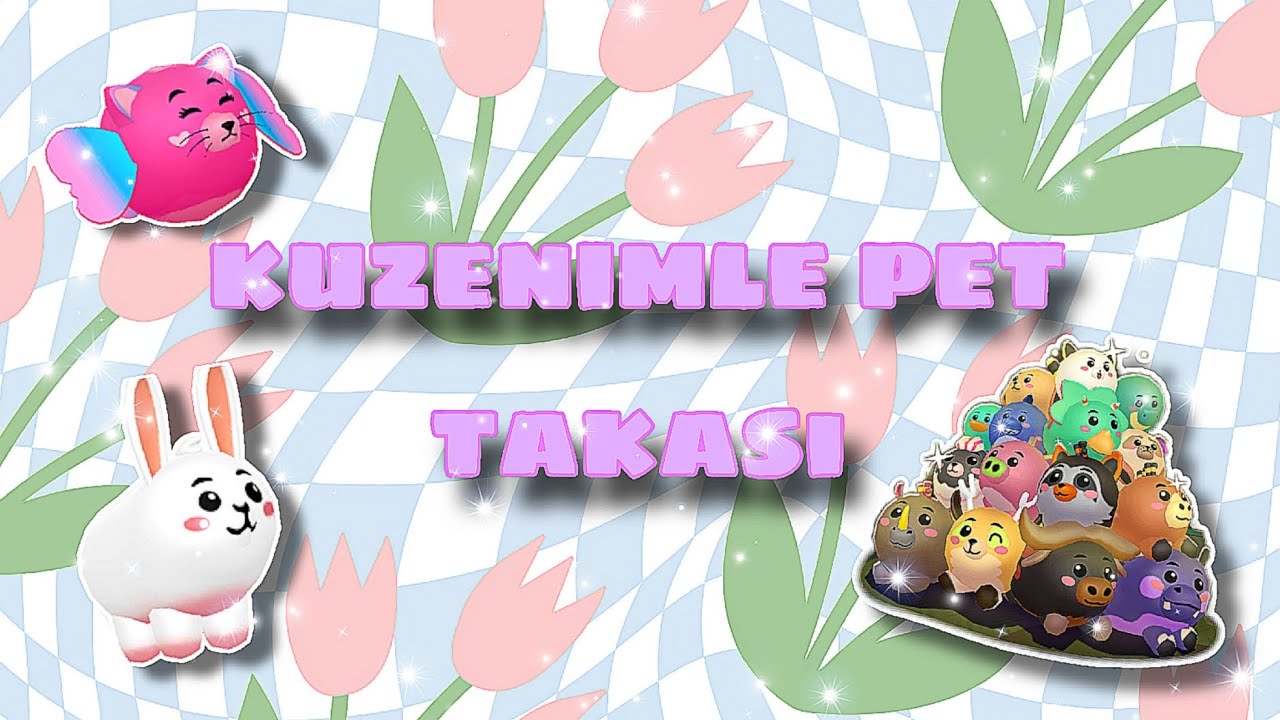 KUZENİMLE PET TAKASI SİZCE NE VERDİ #NOVA PKXD YT  #keşfed
