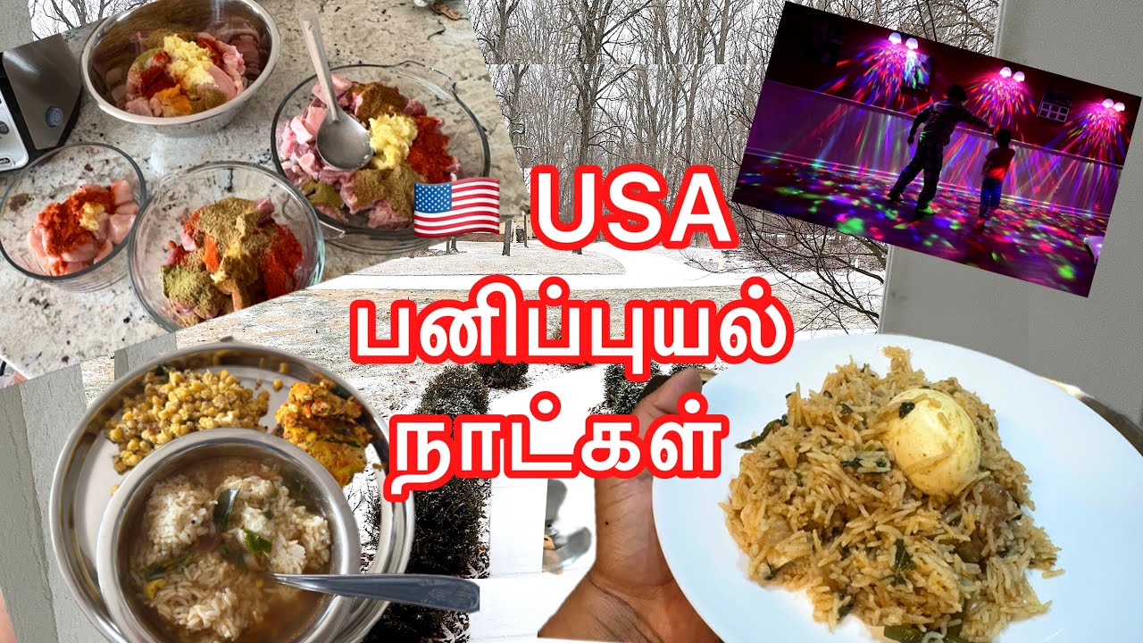 DIML -30 Americaல பனிப்புயல் நாட்கள் Tamil Vlog/Tamil Family Lifestyle in America/USA Tamil Vlog