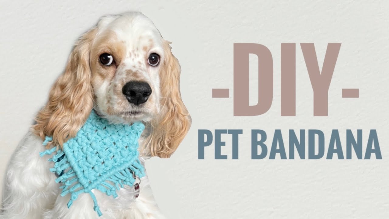 EASY Macrame Pet Bandana