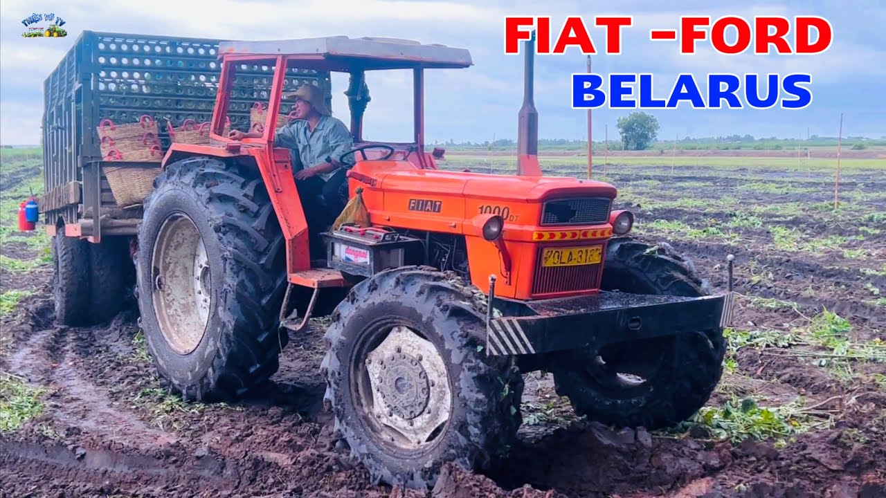 Máy cày fiat với belarus chở cây mì về trước còn ford 4600 ở lại một mình dính bị dính chưởng