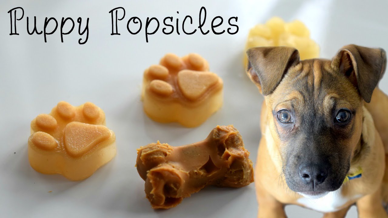 Dog Popsicles // How to make 2 ingredient frozen homemade dog treats