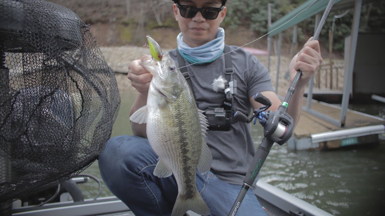 Searching for Bass in May | Piscifun Phantom X | Serpent Series Rod