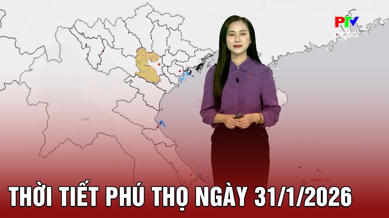 Thời tiết Phú Thọ ngày 31/1/2026 | Trời rét, mưa rải rác, sương mù sáng sớm