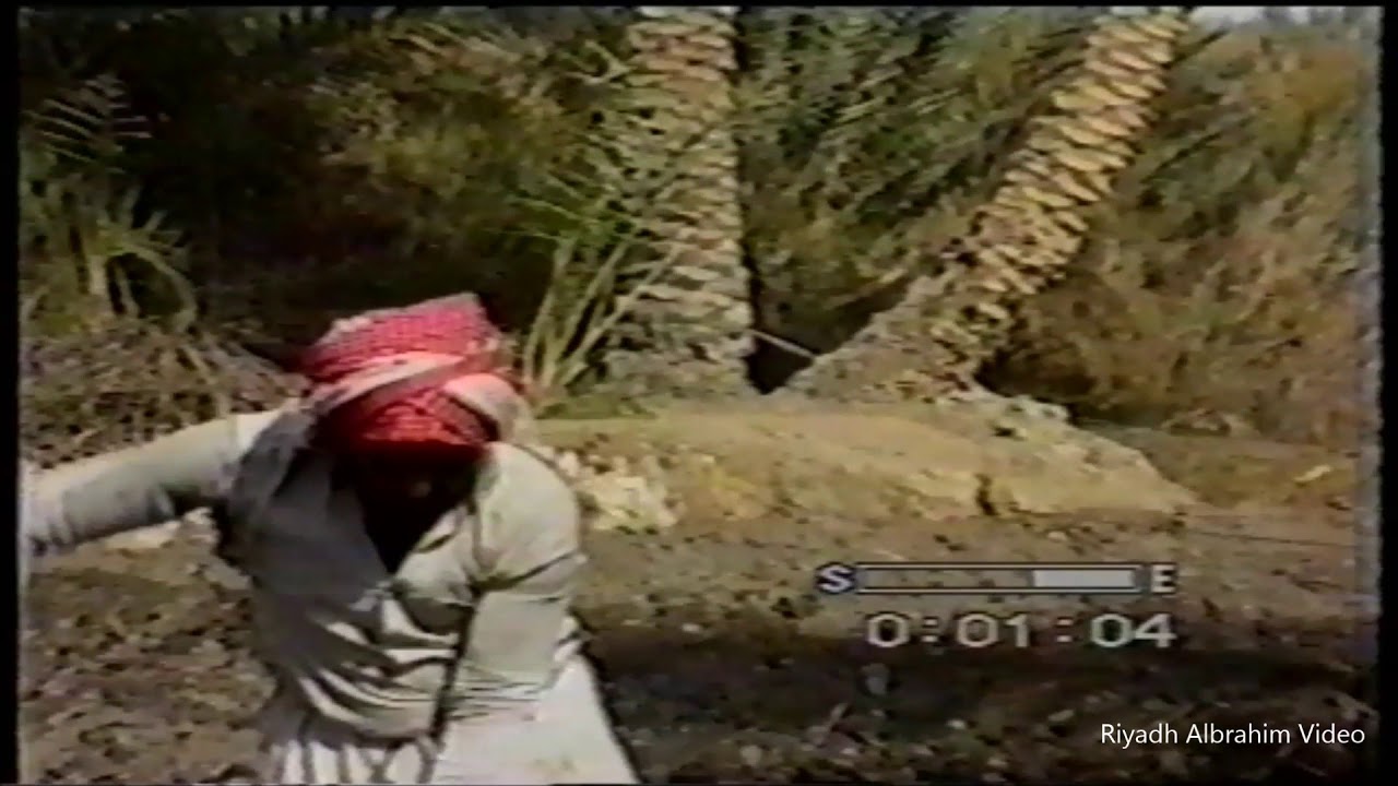 قرية القرين في دقائق