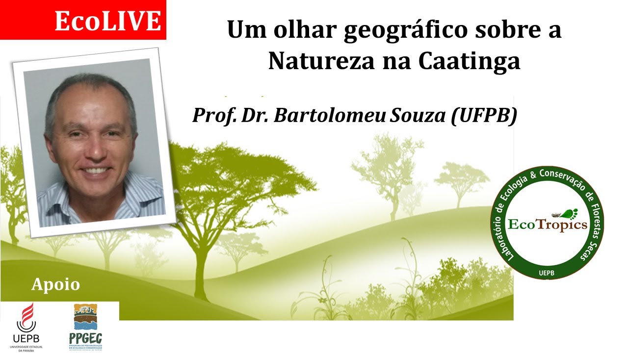 UM OLHAR GEOGR&Aacute;FICO SOBRE A NATUREZA DA CAATINGA