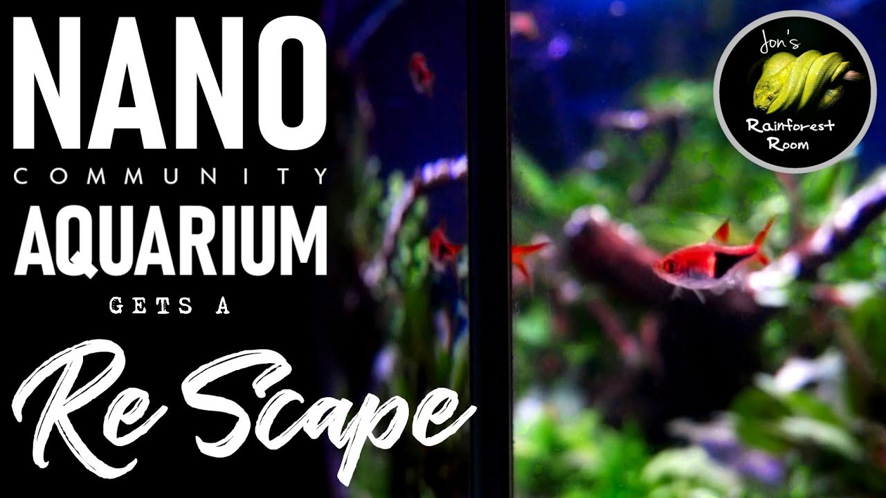 20 Gallon Long Aquascape Step By Step - How To Re Scape A Aquarium
