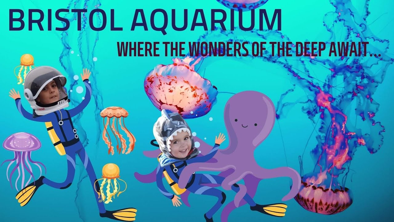 Bristol Aquarium. Where The Wonders of the Deep Await...