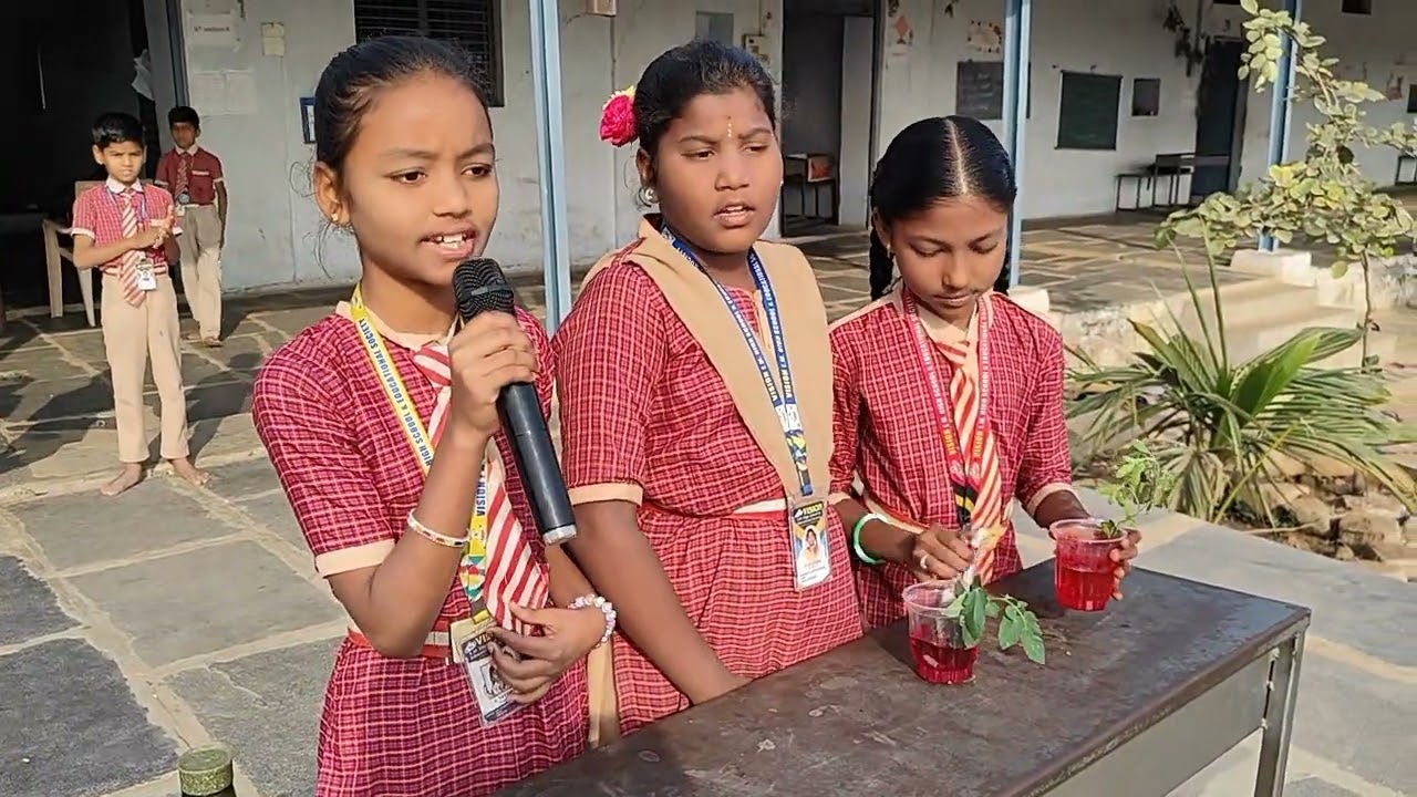 Vision's assembly activities (10/02/2026) by 6th & UKG students 