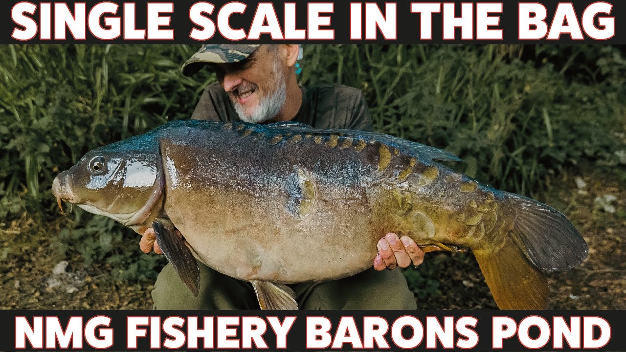 SINGLE SCALE!! - 24 hours at NMG Baron's Pond -  Carp Fishing