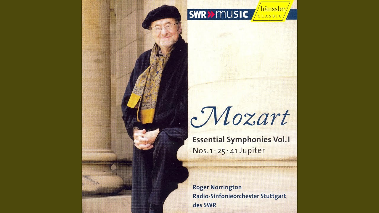 Symphony No. 25 in G Minor, K. 183: II. Andante (Live)