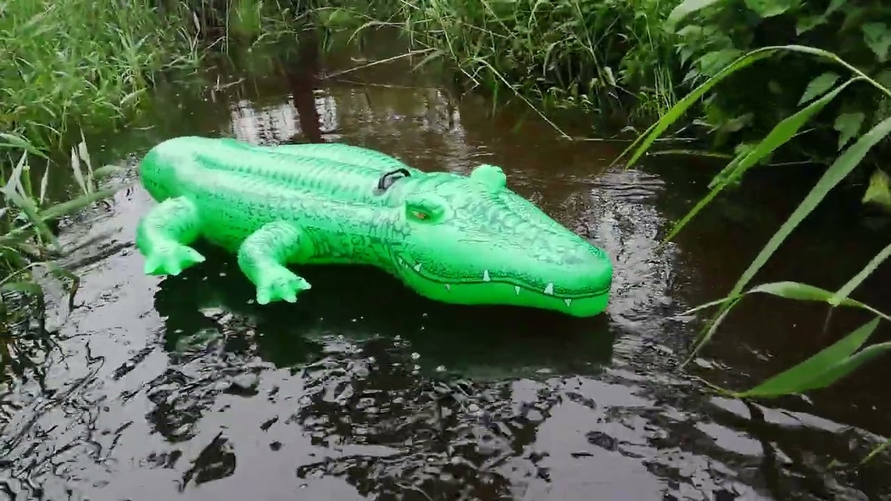 INTEX 58562 - Inflatable Big Beach Green Crocodile 203 CM Floating on the River  - 10.06.2020
