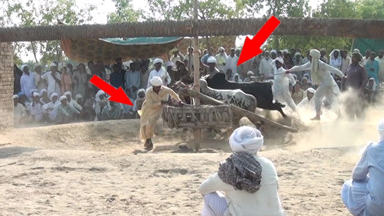 BESAKHI MAILA NEW KOT SULTAN  LAYYAH  2019  BAILON KI DORR Waseem 4k movies