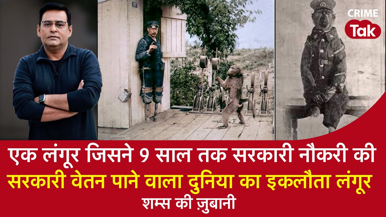 EP 1593: एक लंगूर जिसने 9 साल तक सरकारी नौकरी की, सरकारी वेतन पाने वाला दुनिया का इकलौता लंगूर