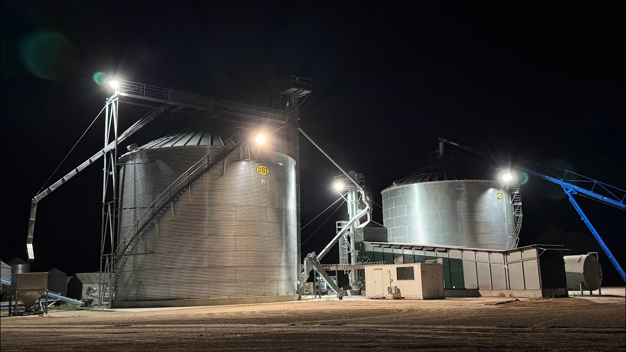 Drying Australian corn- dialling in the Alvan Blanch!