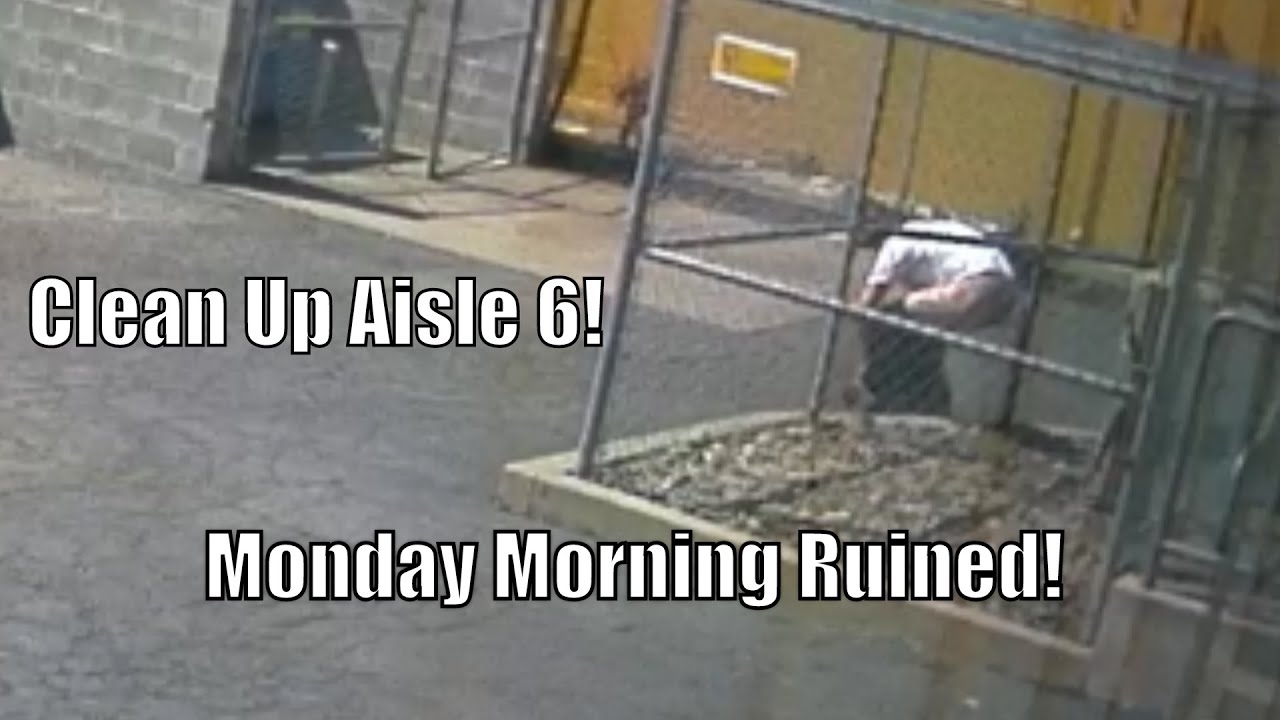 Guy Takes a Dump on my Property and Ruins my Monday morning! Caught on camera!