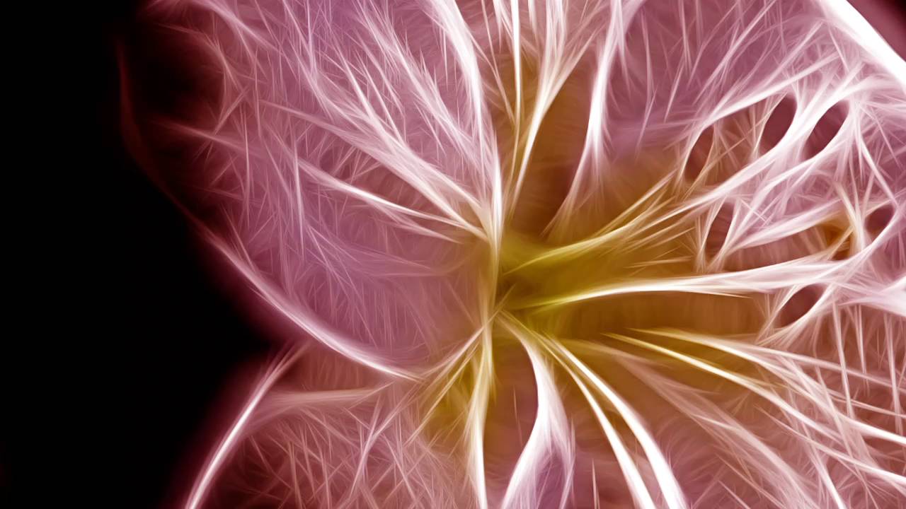 1 Hour Atmospheric Relaxing Music – Corand by Dreamscape