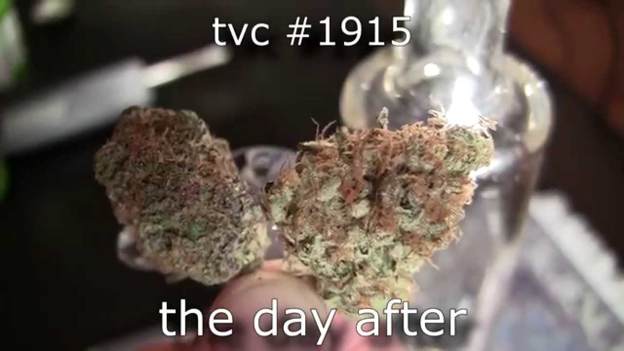 tokin daily: the day after