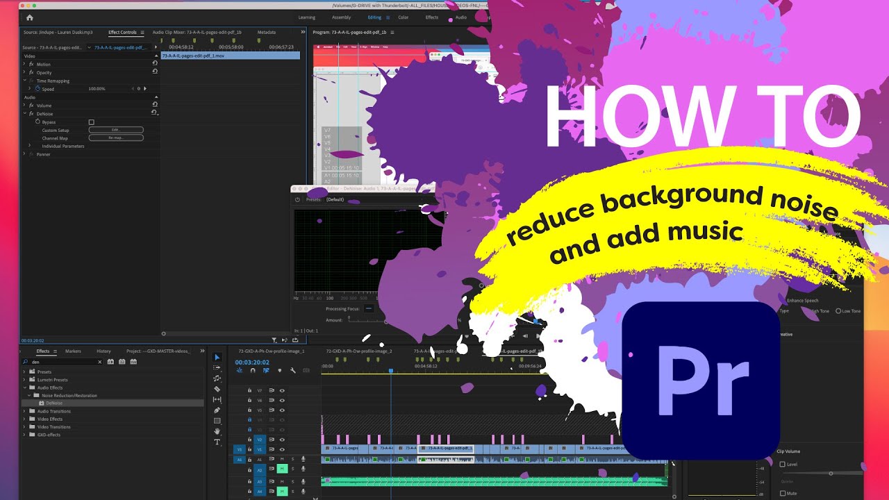 How to add YouTube music / DeNoise effect / ReMix Tool in Adobe&reg; Premiere&reg; Pro // Real life example