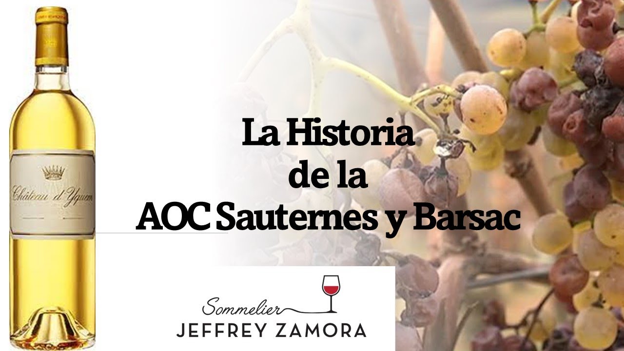 La Historia de la AOC  Sauternes