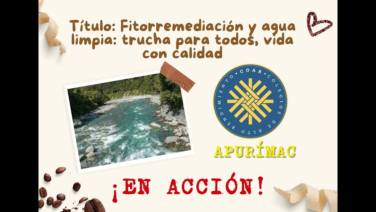 Ejecutando el proyecto de Redes de Fitorremediaci&oacute;n en el r&iacute;o Chalhuanca, Av Panamericana