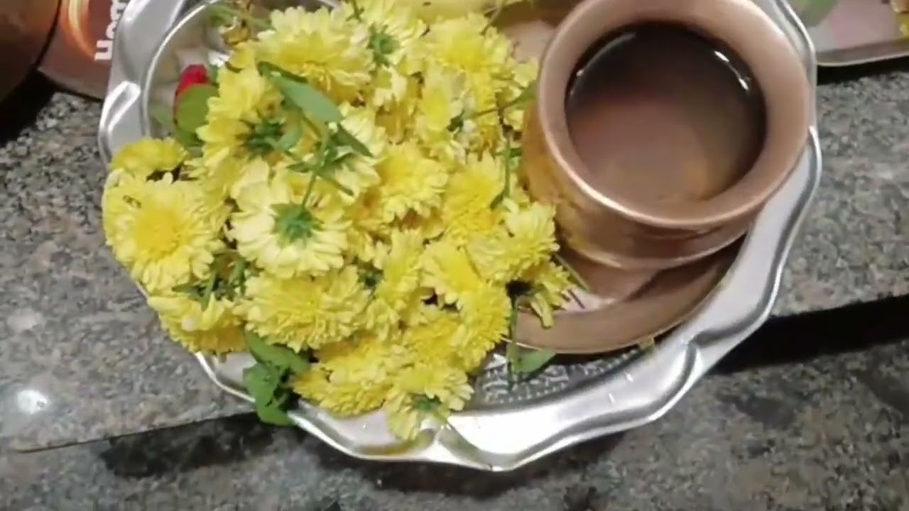 Bhoomi Pooja after buying the plot 🙏💖🏡