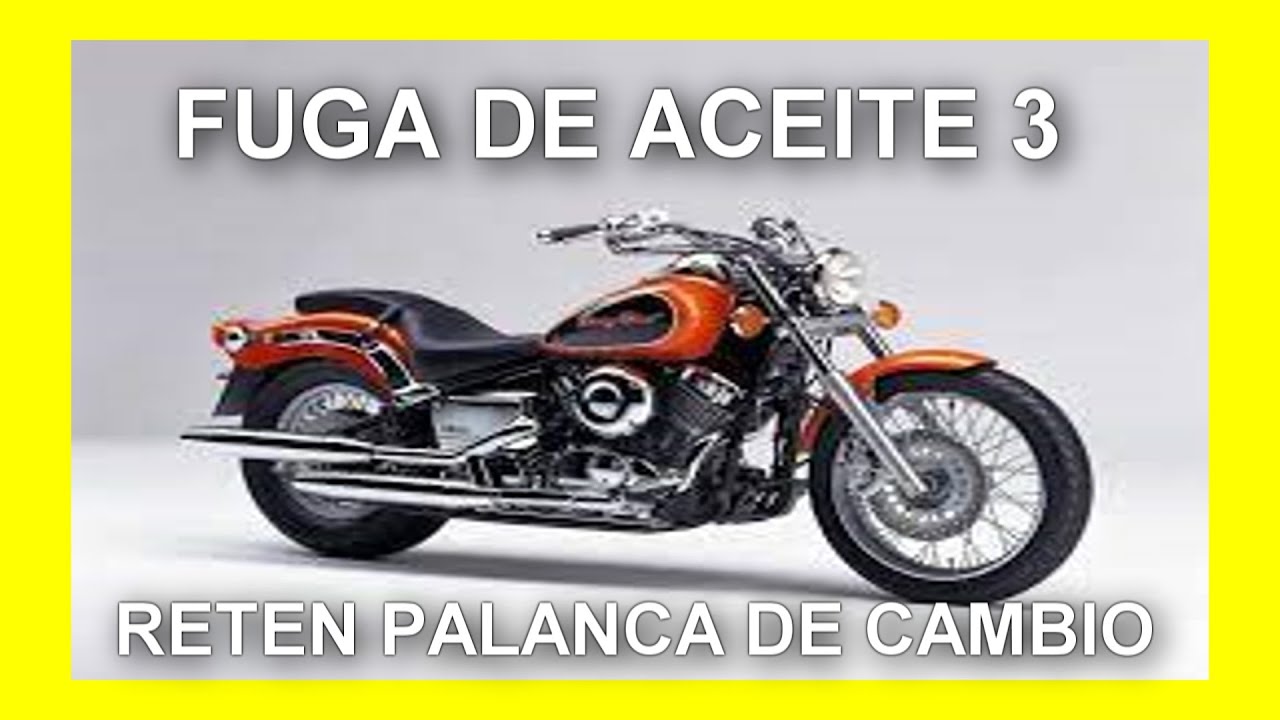 Cambio reten palanca cambios