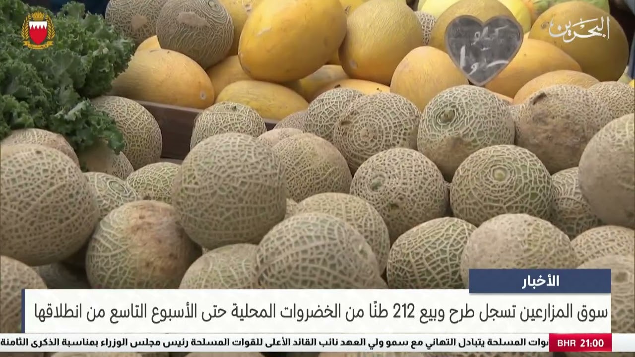 الأخبار : سوق المزارعين تسجل طرح وبيع 212 طنًا من الخضروات المحلية حتى الأسبوع التاسع من انطلاقها