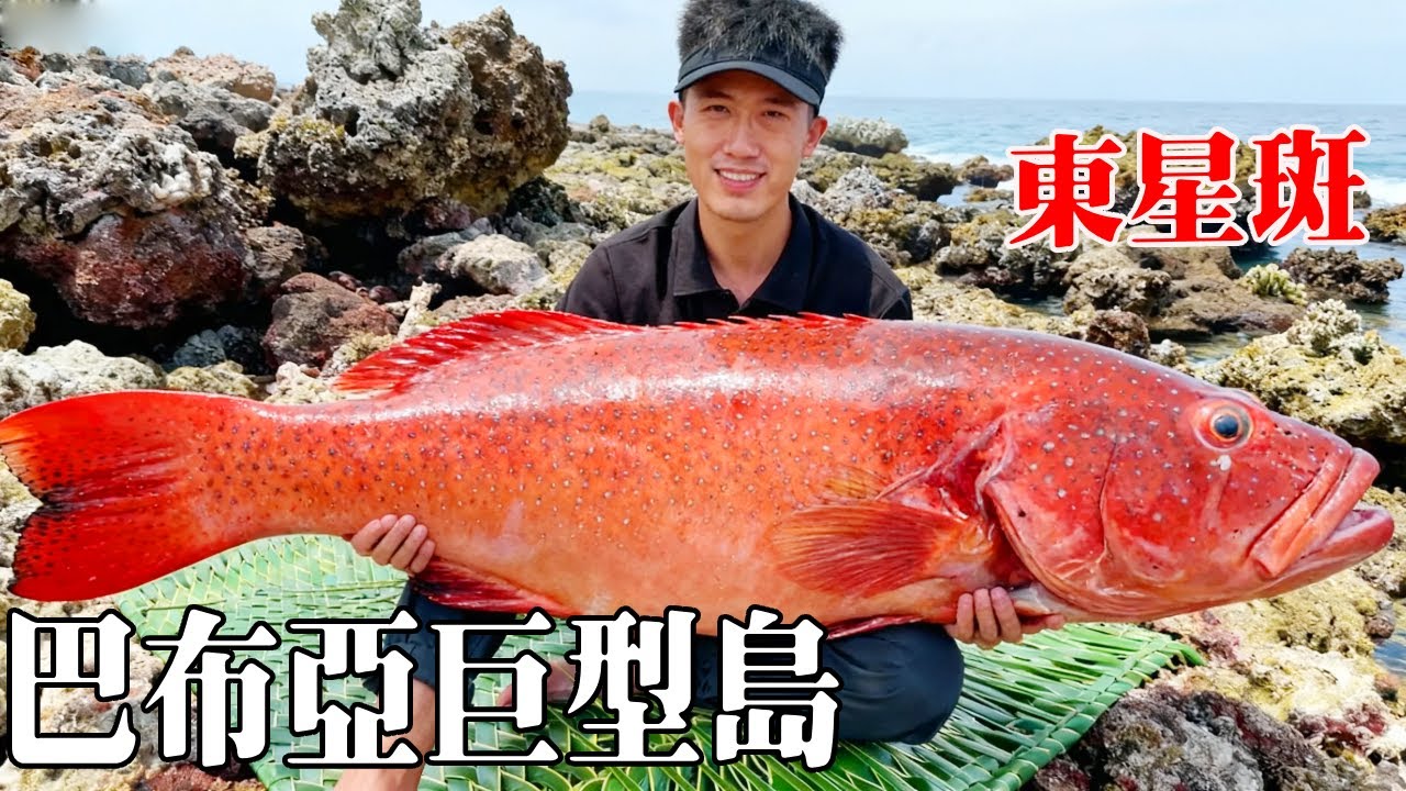 巴布亞巨型島生存挑戰！建造了庇護所，還抓了10公斤的東星斑！ 【探索兄弟】