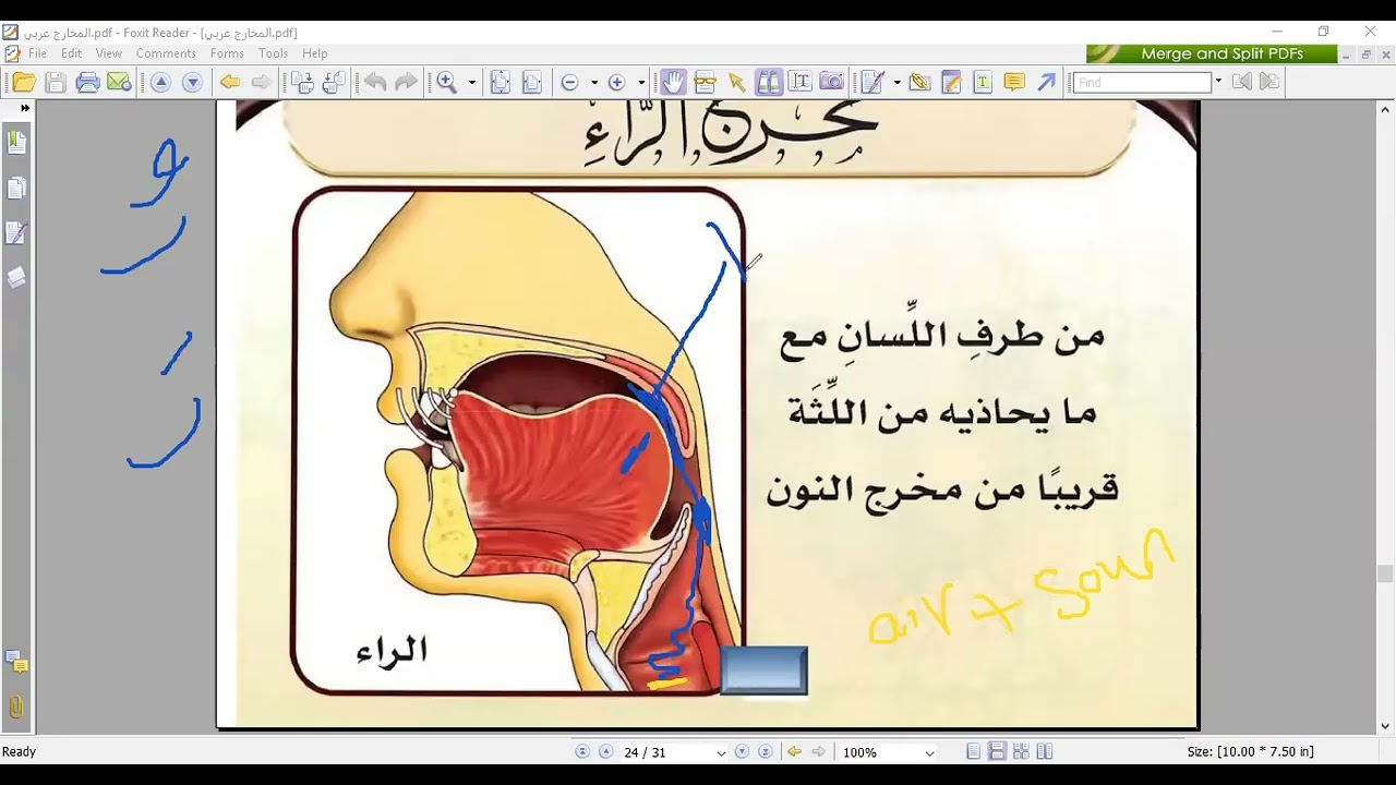 Explanation of Harf Raa (ر) – Part 1 | Makharij & Sifaat | (شرح مخرج الراء الجزء الاول)