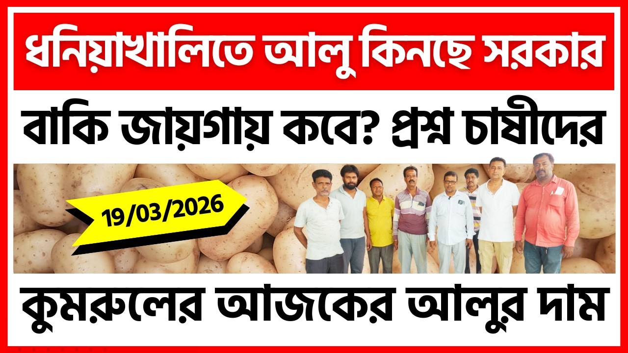 19/03/2026 : কুমরুলের আজকের নতুন আলুর দাম | স্টোরে চাষীদের থেকে আলু কিনছে সরকার - India Potato News