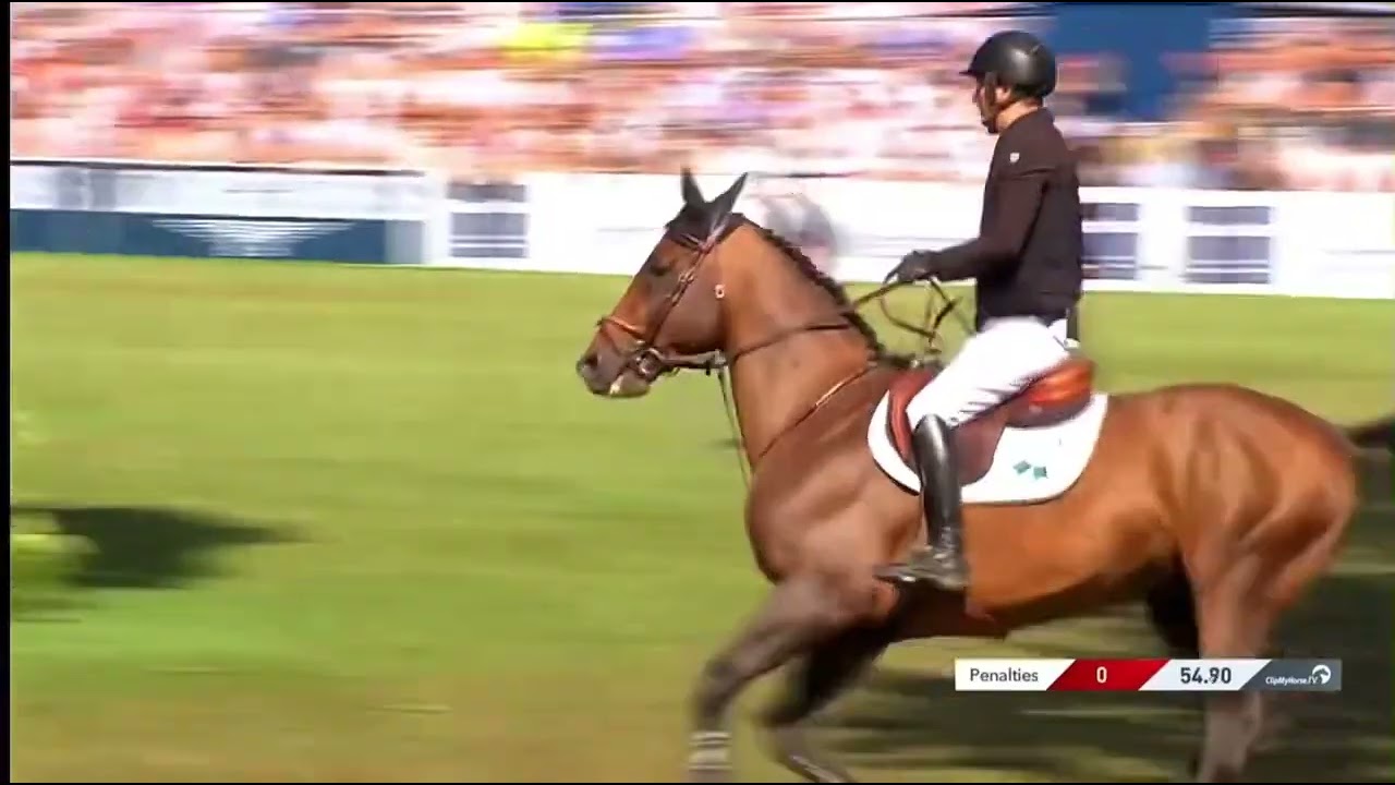 Mosito van het Hellehof