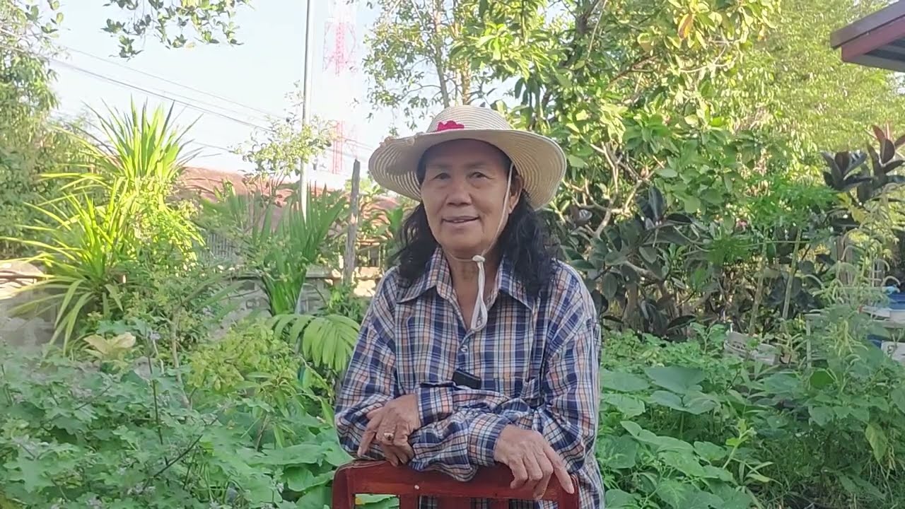 14 กุมภาพันธ์ ค.ศ. 2026ย่าหน่อยทำเกษตรขอแสดงความในใจ