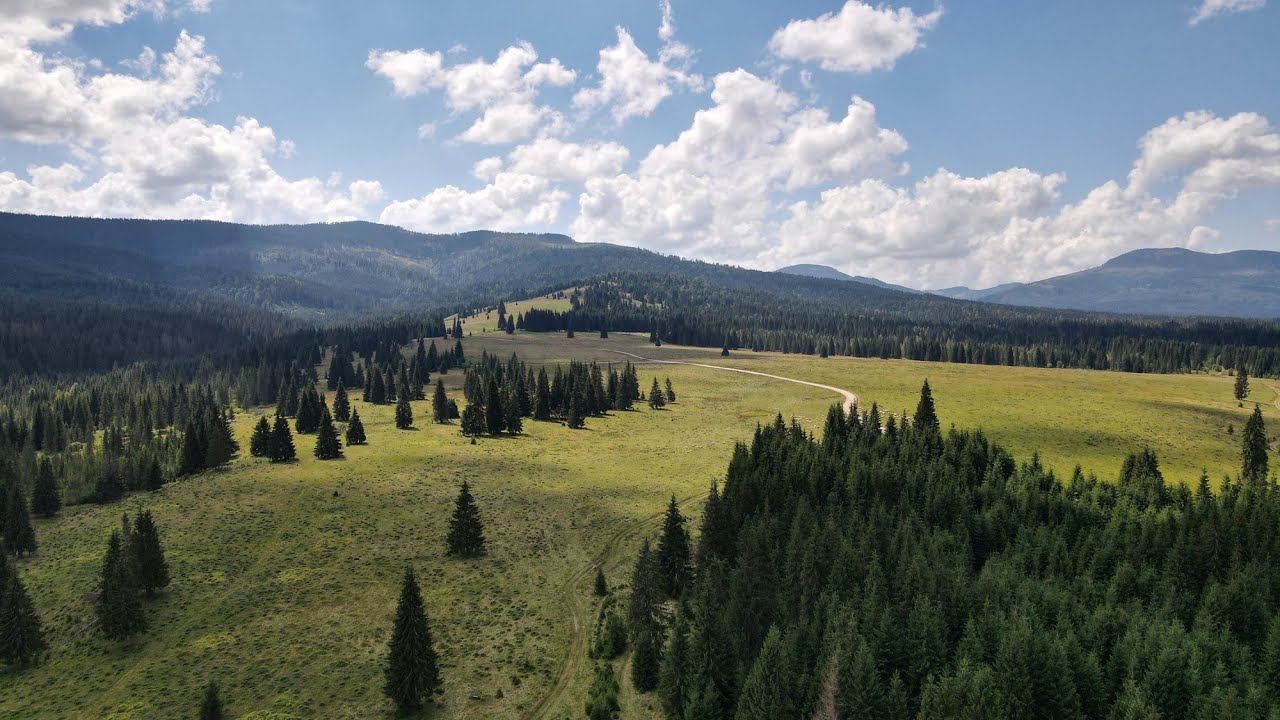 Descopera Romania in 4K - Locuri de vizitat aproape de Cluj-Napoca (Munții Apuseni)