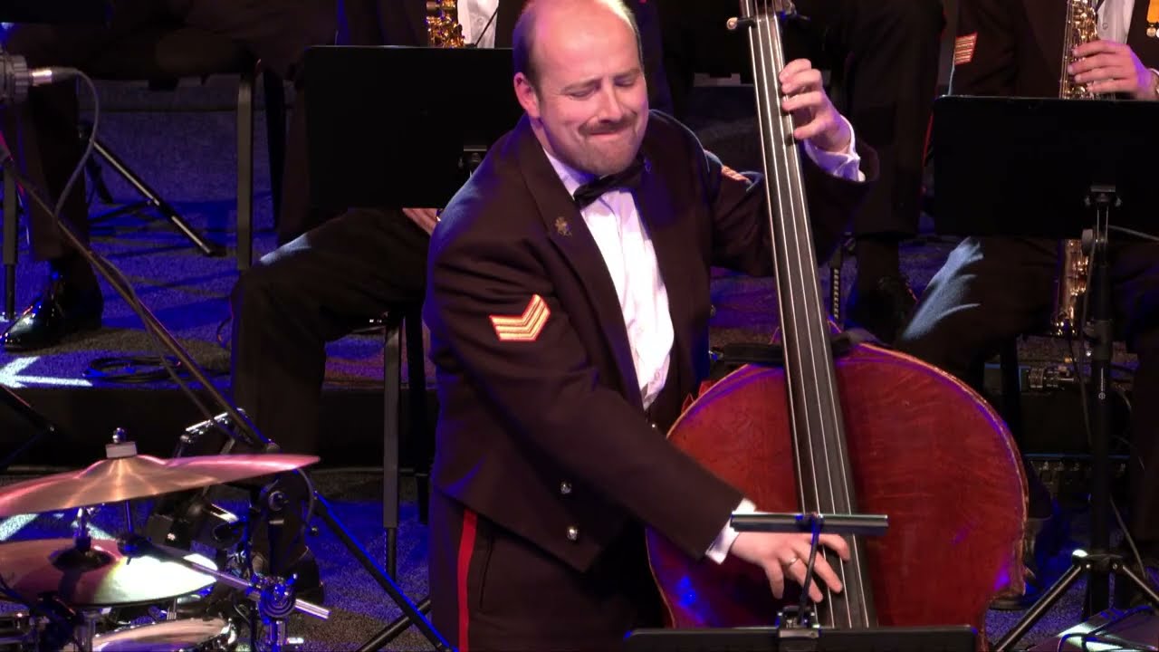 Nacht van de Militaire Muziek - Song of the untamed World